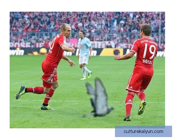 德甲安联主场表现稳健，期待球队迎来连胜佳绩